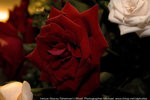 PICT0171