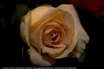 PICT0173