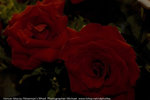 PICT0174