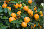 Lantau_Island_0979