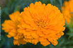 Lantau_Island_0981