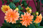Lantau_Island_0988