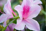 Lantau_Island_1001
