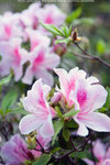 Lantau_Island_1002