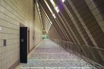 PICT0098-1