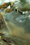 F95C2921