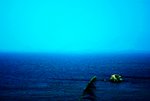 F95C8105_e2c