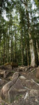 F95C7024pano