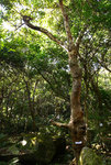 F95C7975_resize