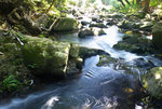F95C7977_resize