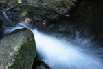F95C7978_resize