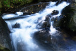F95C7980_resize