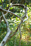F95C7992_resize