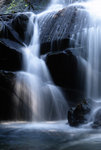 F95C8005_resize
