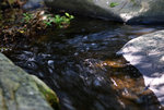 F95C8016_resize