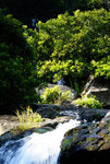 F95C8022_resize