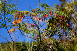 F95C8026_resize