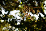 F95C8031_resize