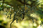 F95C8034_resize