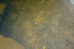 F95C8037_resize