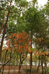 20071205_resize_003