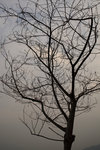 20071205_resize_004