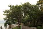 20071205_resize_005