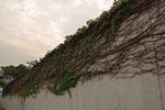20071205_resize_006