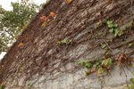 20071205_resize_007