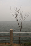 20071205_resize_008
