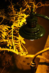 20071212_F95C8384_resize