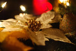 20071212_F95C8410_resize