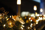 20071212_F95C8413_resize