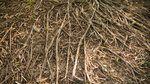 20071215_0001_resize