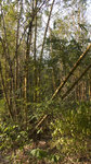 20071215_0002_resize