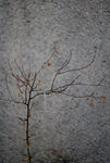 20071215_0004