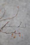 20071215_0010