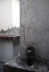 20071215_0014
