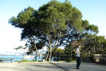 20080112_0008_resize