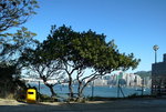 20080112_0009_resize