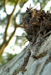 20080112_0019_resize
