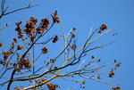 20080112_0022_resize