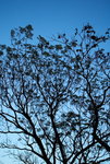 20080112_0029_resize