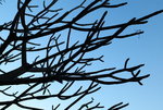 20080112_0031_resize