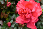 F95C9614_resize