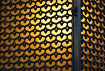 F95C9615_resize