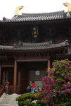 F95C9628_resize