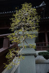 F95C9647_resize