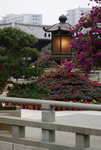 F95C9680_resize