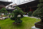 F95C9726_resize